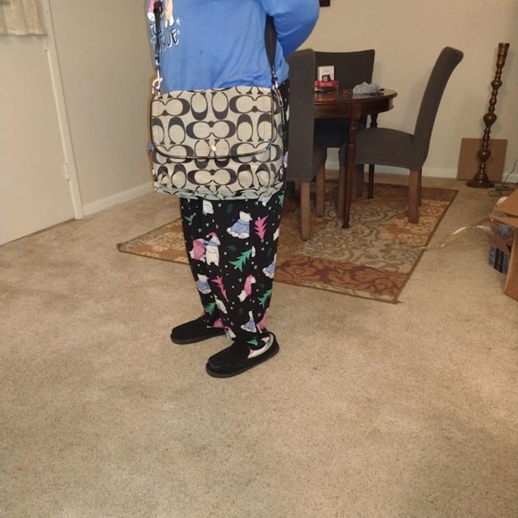 Coach crossbody bag - really cute - Picture 7 of 7